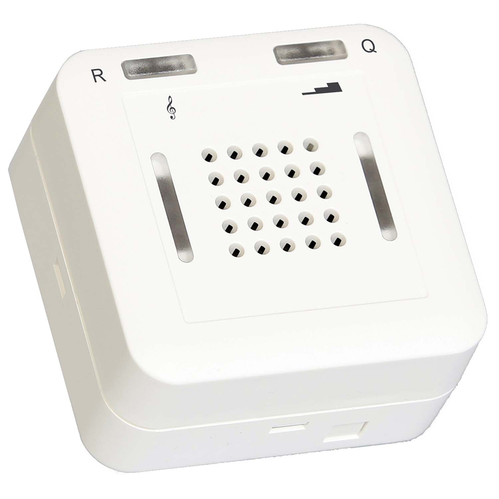 TELEMAT Alarm-Trittmatte inklusive ELDAT-Empfänger RCP25 mit Quittierung